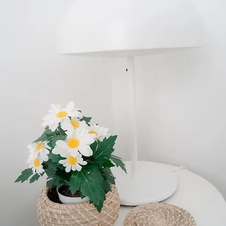 Ekilore - Basquenjoy *